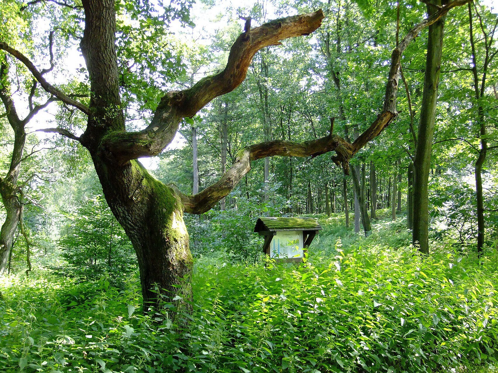 Gernebachtal in der Haard