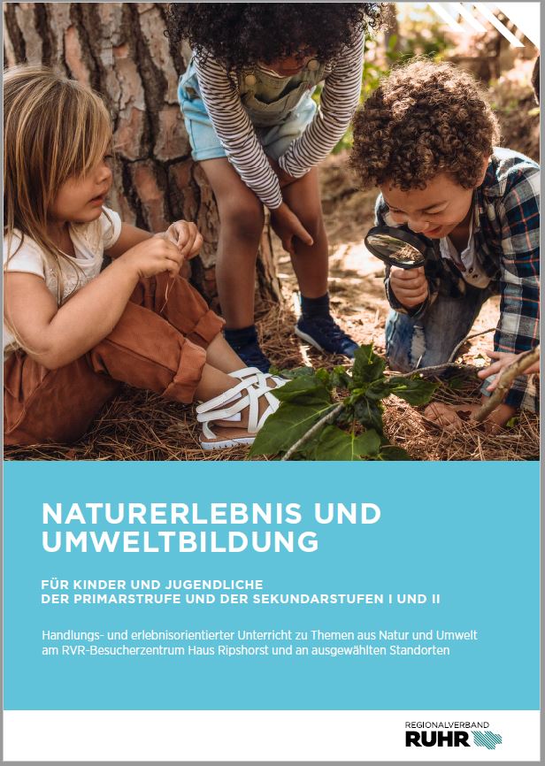 Kinder mit Lupe, die den Waldboden untersuchen