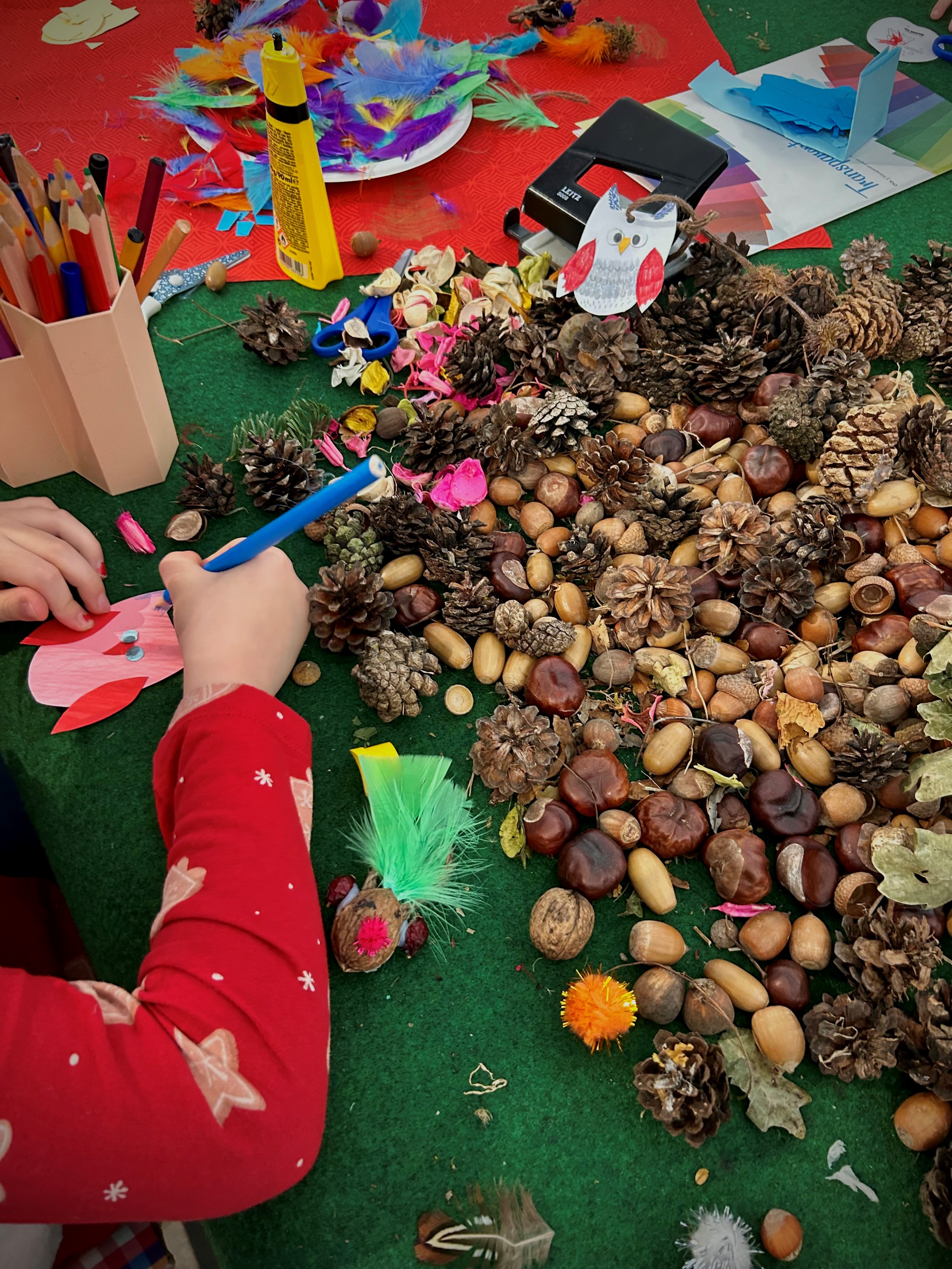 Kinderhände basteln eine Eule aus Pappe, davor liegen verschiedenste Naturmaterialien wie z.B. Tannenzapfem, Eicheln. Walnüsse
