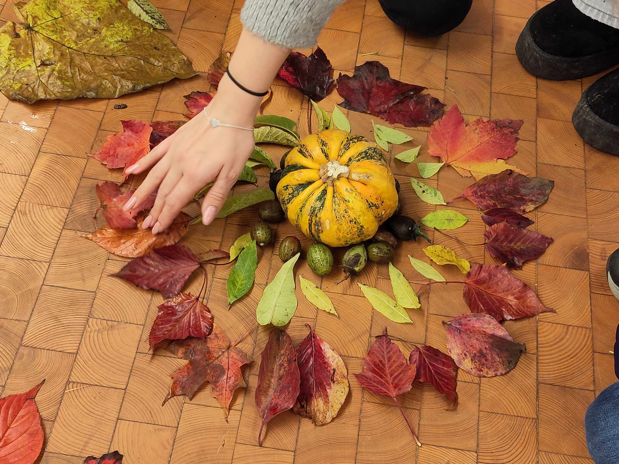 Naturmandala aus bunten Blättern und Kürbis
